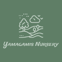 Yamagasmis Nursery